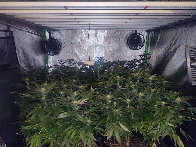 Growreport Bild 23