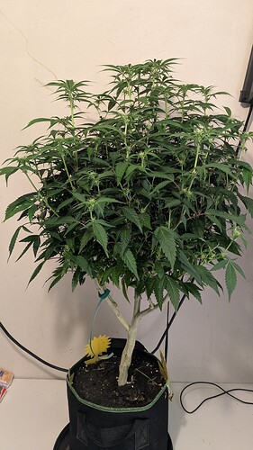 Growreport Bild 10