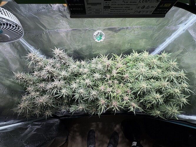 Growreport Bild 2