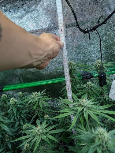 Growreport Bild 14