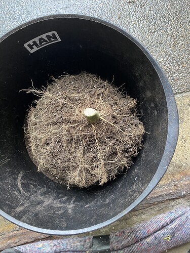 Growreport Bild 29
