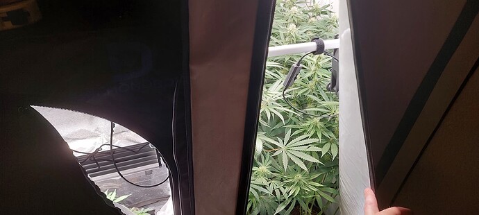 Growreport Bild 18