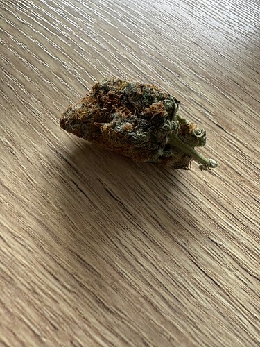 Growreport Bild 28