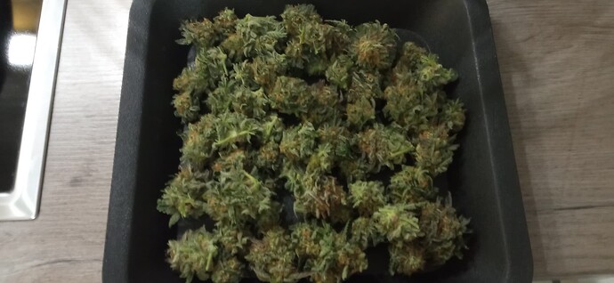 Growreport Bild 4