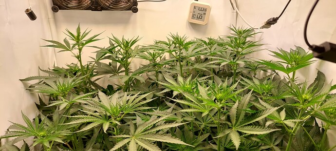 Growreport Bild 2