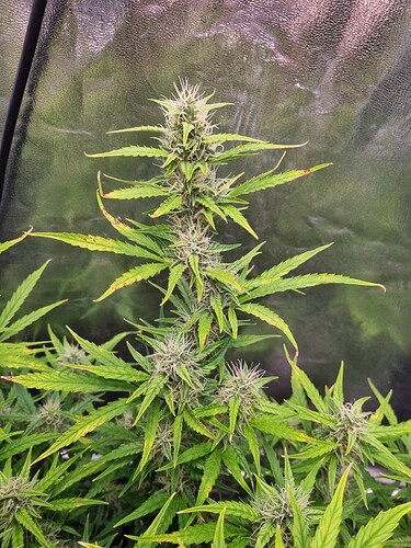 Growreport Bild 16