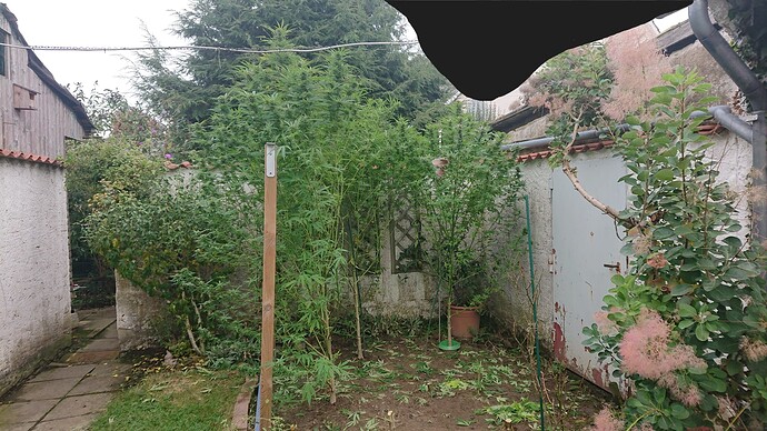 Growreport Bild 19