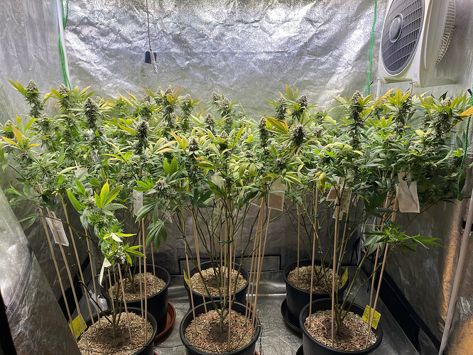 Growreport Bild 4