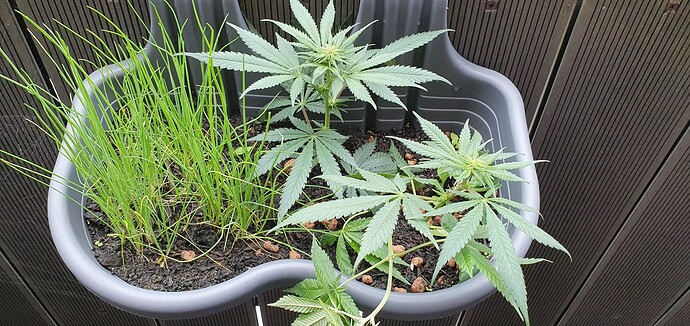 Growreport Bild 12