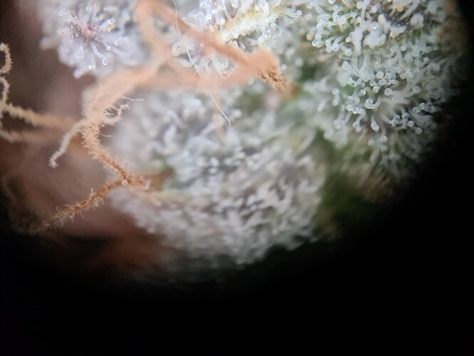 Growreport Bild 21