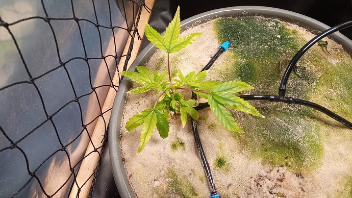 Growreport Bild 8