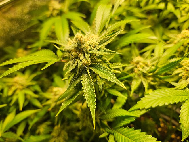 Growreport Bild 9