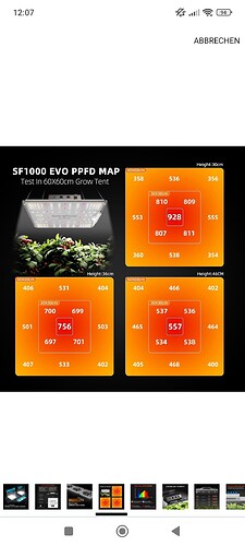 Growreport Bild 12