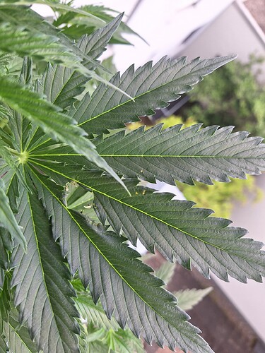 Growreport Bild 8