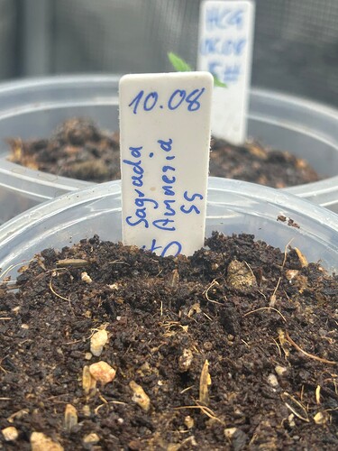 Growreport Bild 31