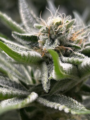 Growreport Bild 15