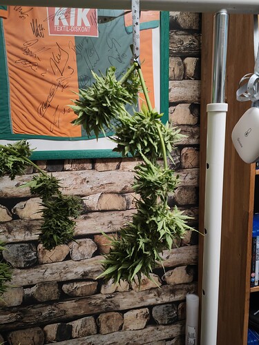 Growreport Bild 7