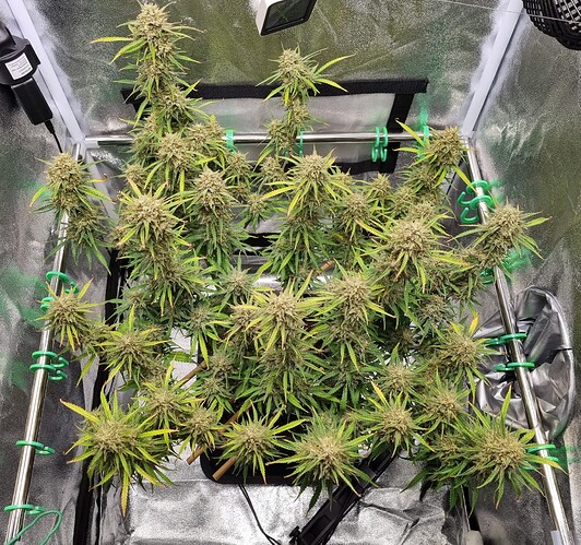 Growreport Bild 17