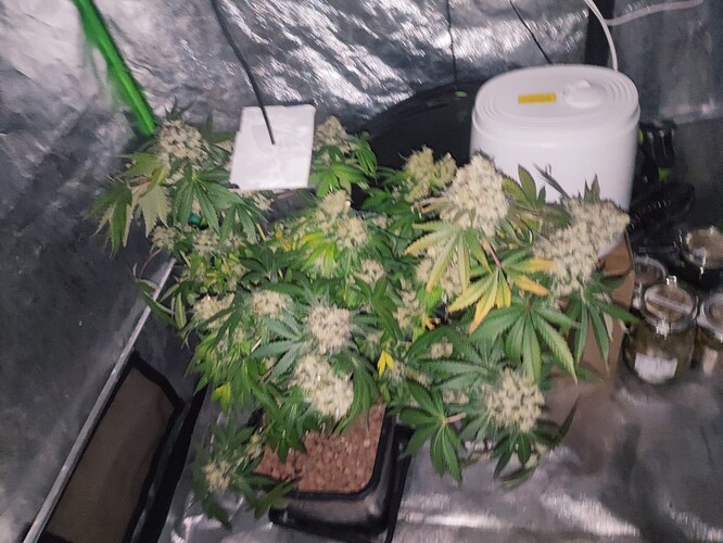 Growreport Bild 20