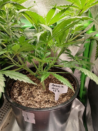 Growreport Bild 20