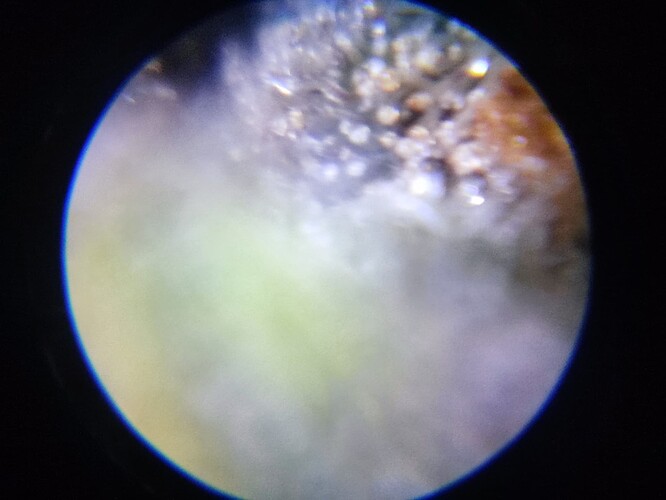 Growreport Bild 56