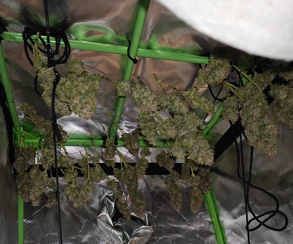 Growreport Bild 1
