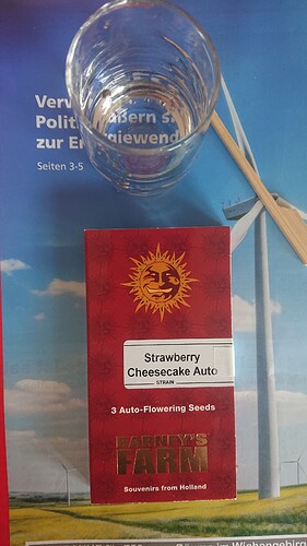 StrawberryCheesecake Auto