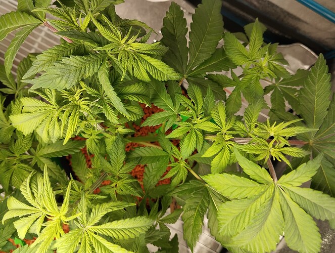 Growreport Bild 18