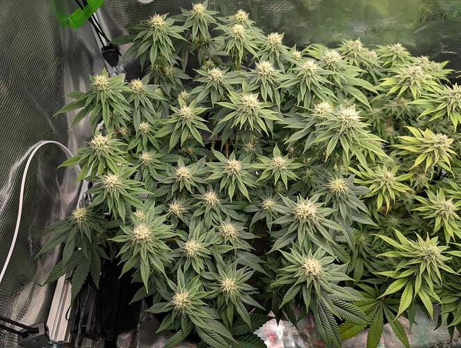 Growreport Bild 11