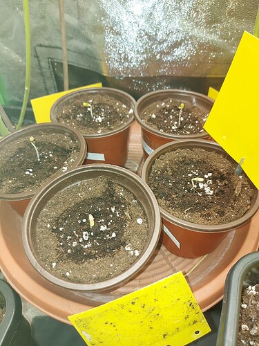 Growreport Bild 18
