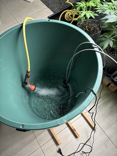 Growreport Bild 27