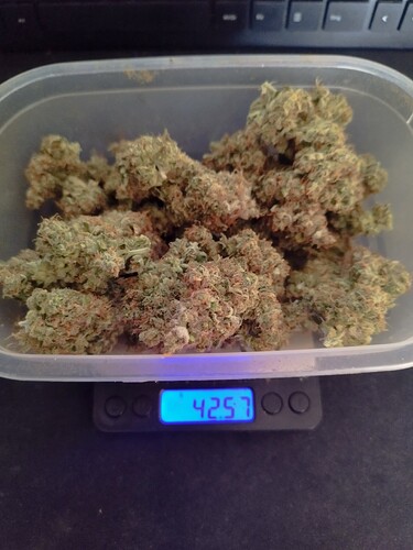 Growreport Bild 9