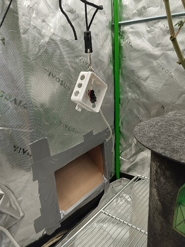 IMG_20250723_105540 - Kopie