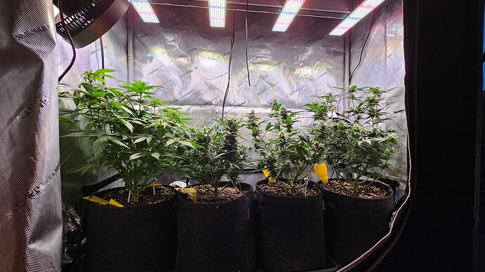 Growreport Bild 14