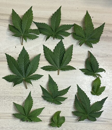 Growreport Bild 23