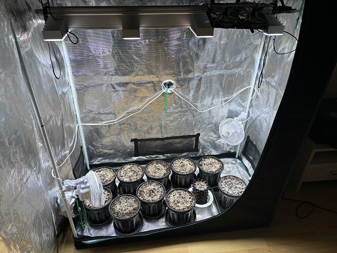 Growreport Bild 10