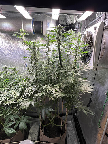 Growreport Bild 2
