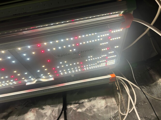 Growreport Bild 17