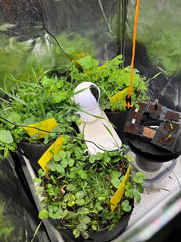 Welcome to the jungle