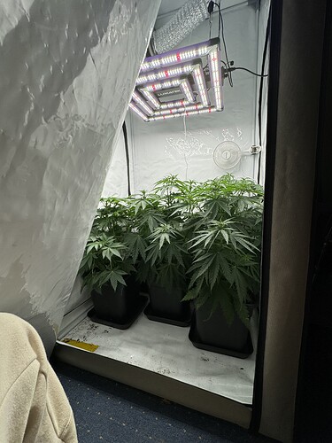 Growreport Bild 1