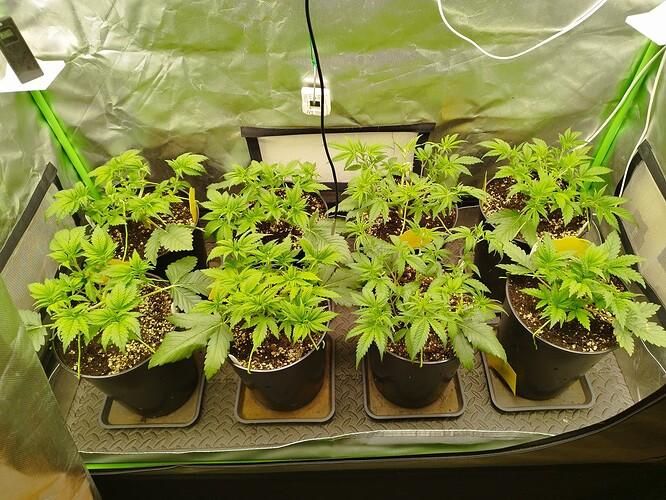 Growreport Bild 13