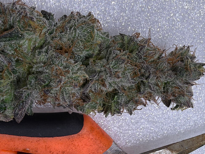 Growreport Bild 9