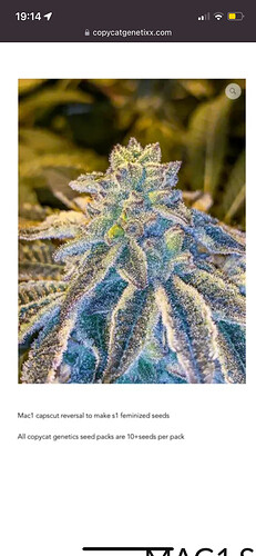 Growreport Bild 22