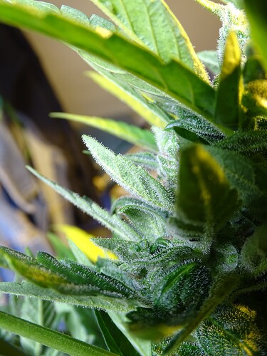 Growreport Bild 5