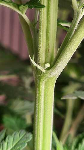 Growreport Bild 17