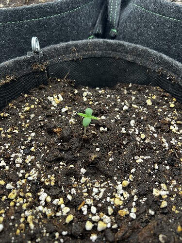 Growreport Bild 10