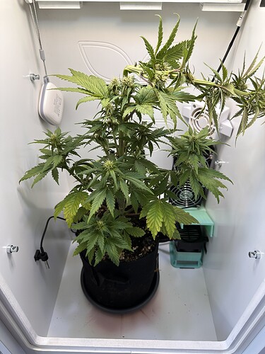 Growreport Bild 3