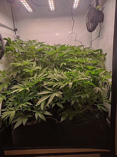 Growreport Bild 10