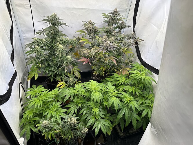 Growreport Bild 2