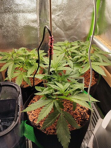 Growreport Bild 9